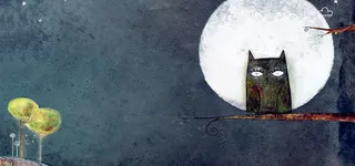 创意猫头鹰背景图高清