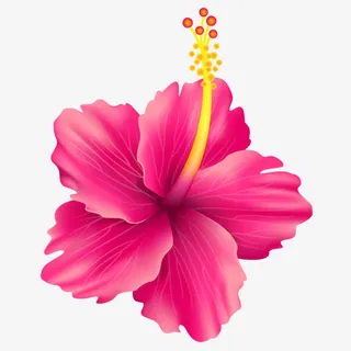 红色花朵花瓣免抠