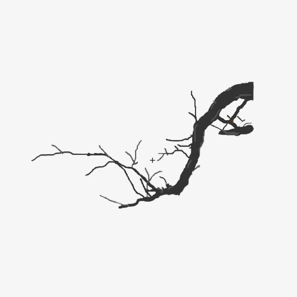 现代简约黑色树枝免抠