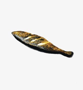 手绘烤鱼装饰图案免抠