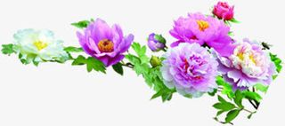 节日活动效果花朵免抠