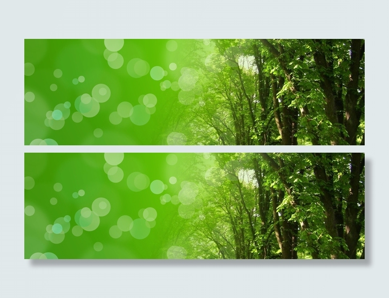 叶子光晕背景高清