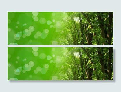 叶子光晕背景高清