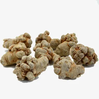 田七可切三七片免抠