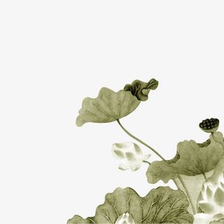 手绘水墨荷花免抠