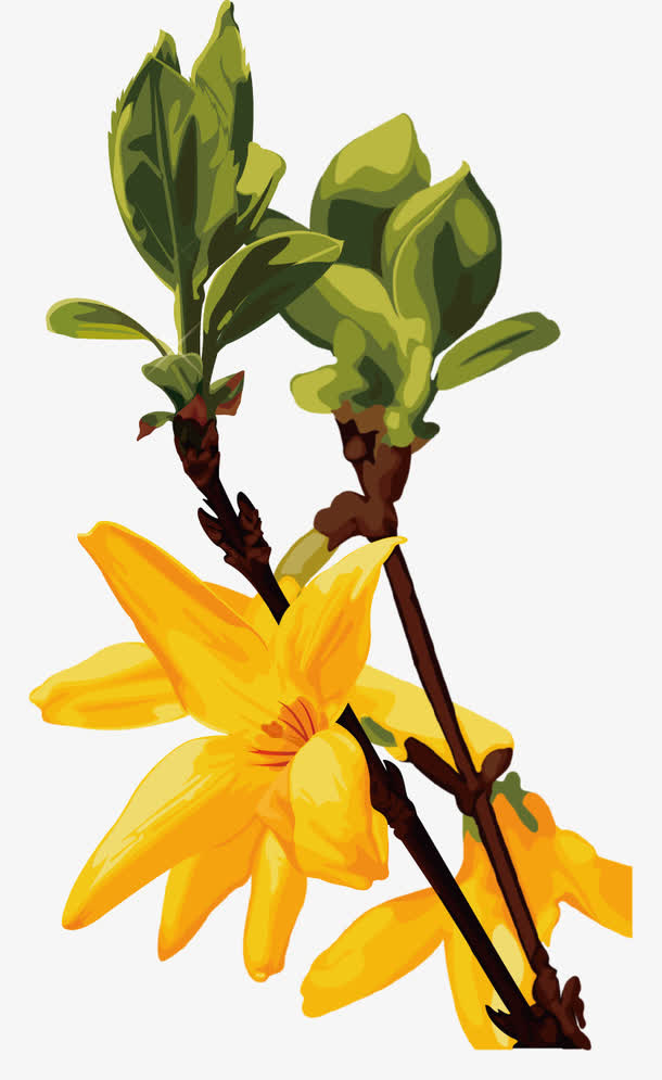 手绘花免抠