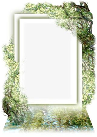 个性绿树边框装饰免抠