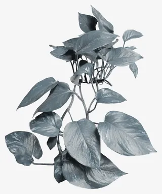 质感纹理图案节日装饰免抠