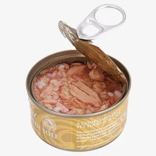 黄色猫咪食用猫罐头免抠