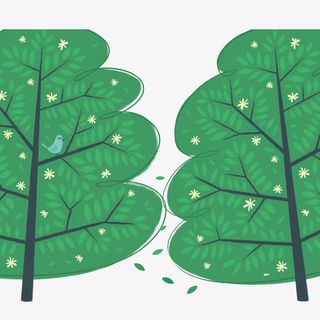 树叶 扁平化 树木 装饰图案免抠