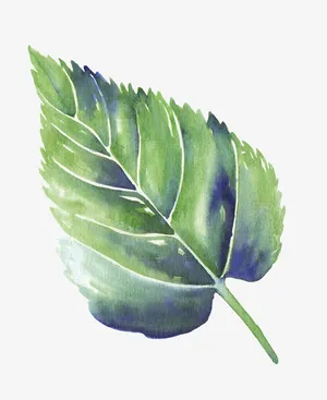 单片花叶免抠