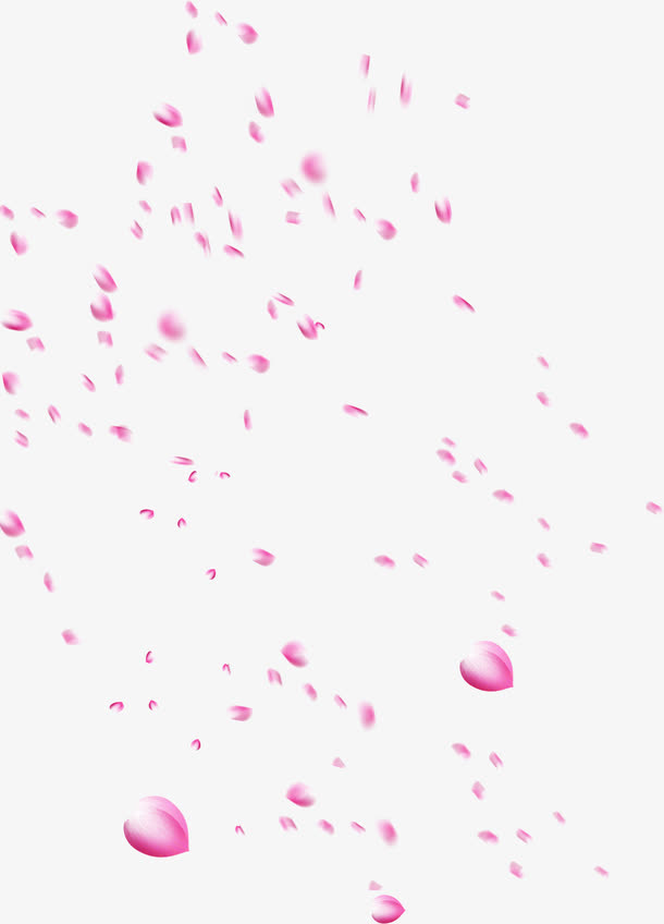 唯美花瓣飘落免抠