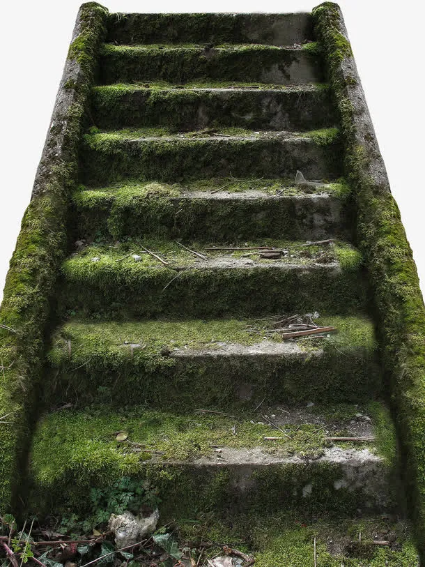 绿色青苔石阶免抠