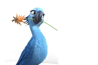 高清蓝色羽毛小鸟免抠