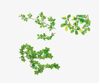 春天花草树枝素材免抠