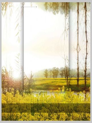 小清新春天你好油菜花风景插画高清