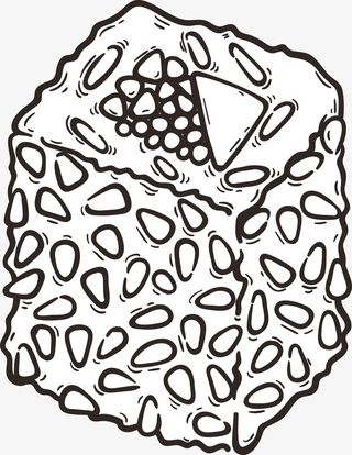 时尚卡通寿司食物图免抠