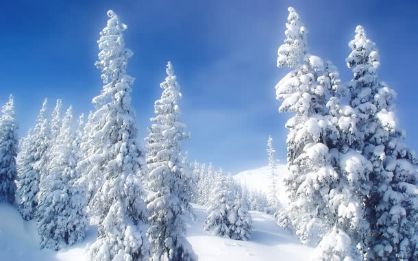 白色雪花银装素裹免抠