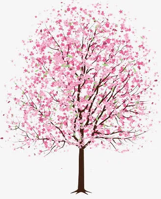 手绘樱花树免抠