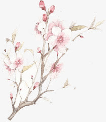 水墨画桃花免抠