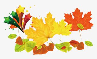 枫叶装饰免抠