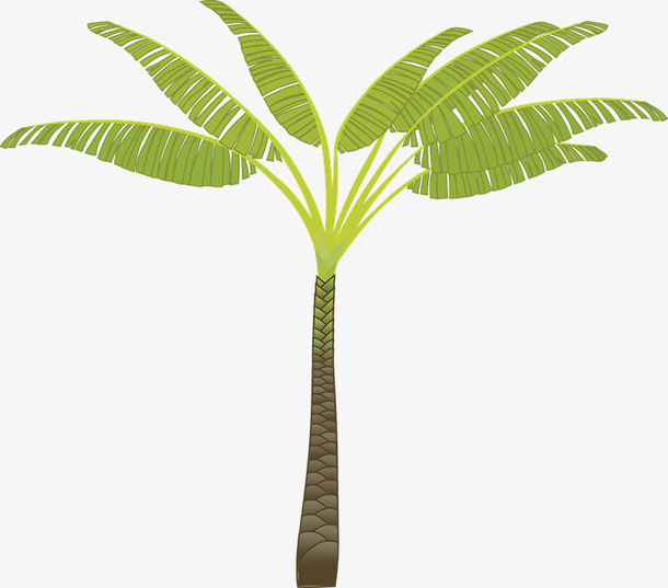 一株绿色的热带绿植免抠