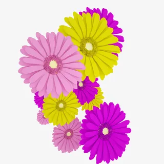 五颜六色的鲜花免抠