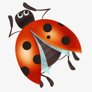 卡通七星瓢虫免抠
