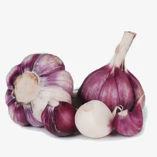 紫皮多瓣大蒜头免抠