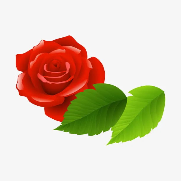 手绘玫瑰花朵免抠