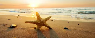 风景背景图高清