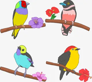 矢量四只鸟免抠