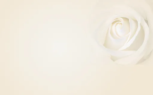 白色米色玫瑰渐变淘宝平面美容化妆背景高清