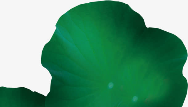 植物免抠