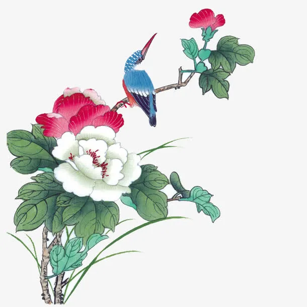 花鸟图免抠