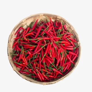 一筐红辣椒免抠 一筐红辣椒免抠