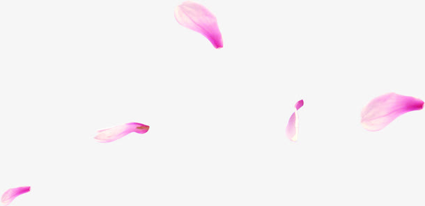 漂浮质感浪漫场景花瓣免抠