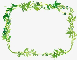 绿色边框免抠