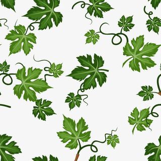 卡通精美清新树叶底纹免抠