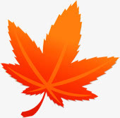 黄色渐变秋季枫叶免抠