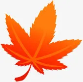 黄色渐变秋季枫叶免抠
