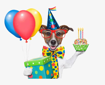 捧着蛋糕的狗狗免抠