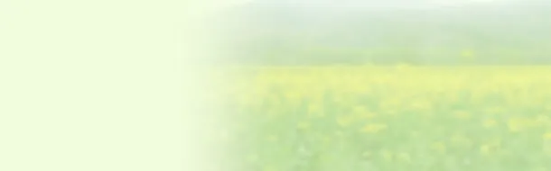 绿色渐变背景