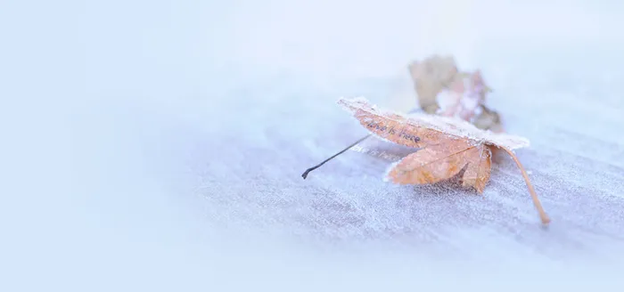 唯美背景高清