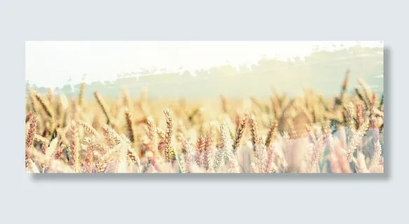 秋天诗意浪漫稻香温馨高清