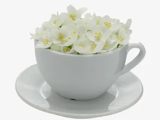 茶杯里的茉莉花免抠