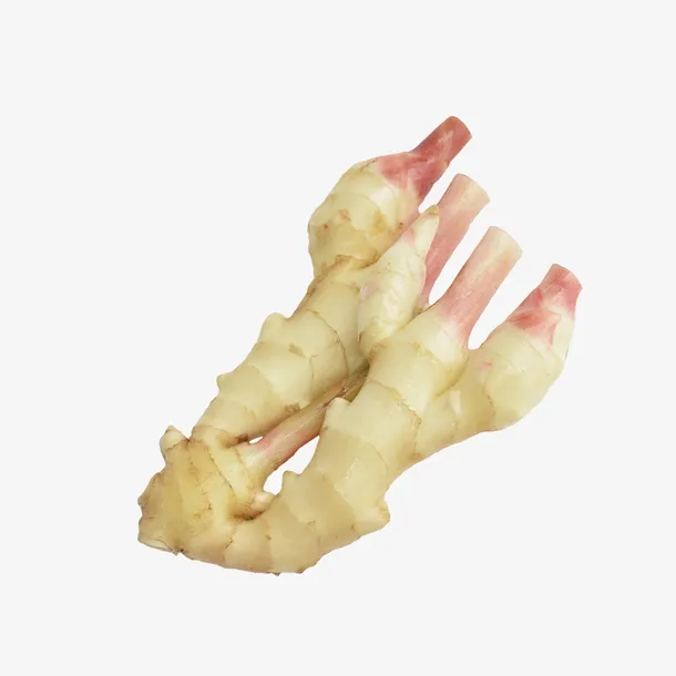 嫩姜广告设计图片免抠