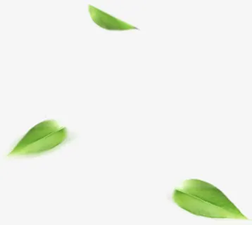 绿色树叶绿叶装饰免抠