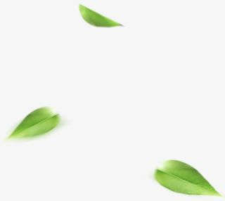 绿色树叶绿叶装饰免抠