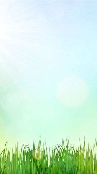清新草背景高清